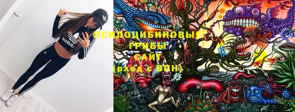 шишки Абдулино